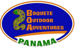 boa_logo_transparente_header